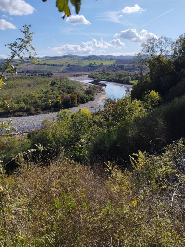 appartamento in vendita a Scansano in zona Pomonte