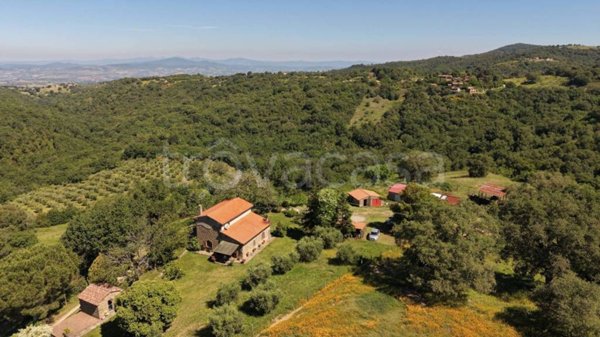 casa indipendente in vendita a Scansano