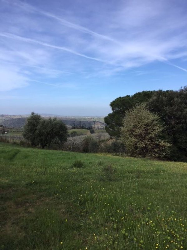 terreno in vendita a Scansano in zona Montorgiali