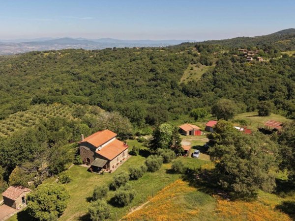 casa indipendente in vendita a Scansano
