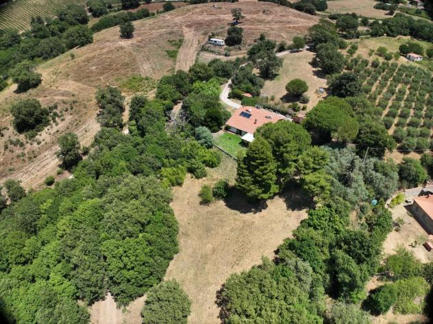 casa indipendente in vendita a Scansano