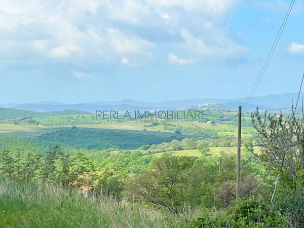 terreno agricolo in vendita a Scansano
