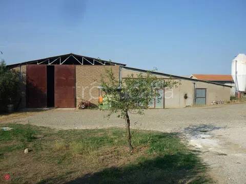 casa indipendente in vendita a Scansano
