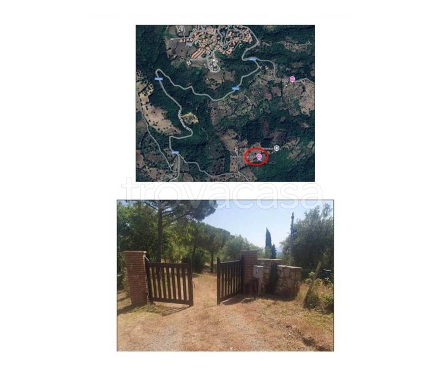 appartamento in vendita a Scansano