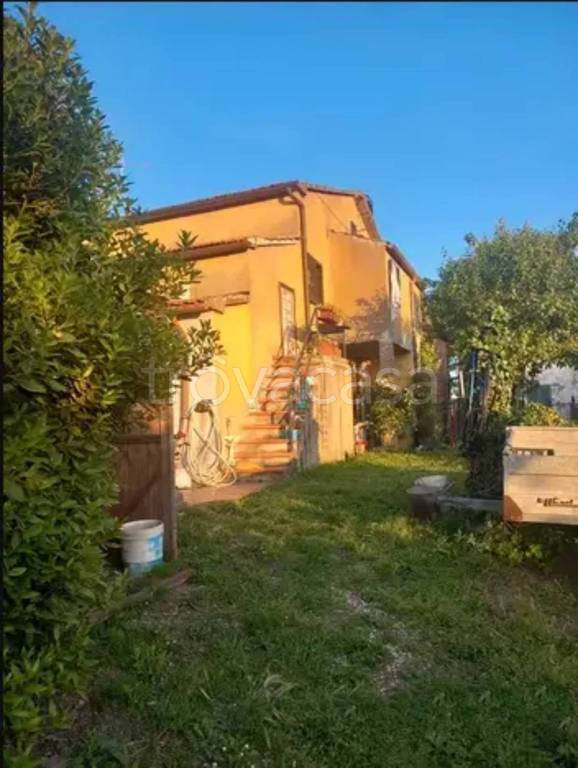 casa indipendente in vendita a Scansano in zona Poggioferro
