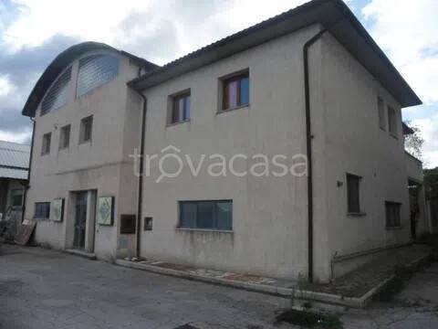 appartamento in vendita a Scansano