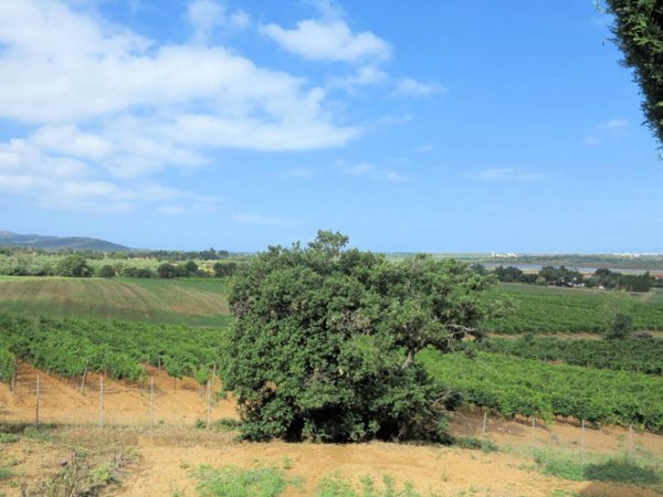 appartamento in vendita a Scarlino in zona Scarlino Scalo