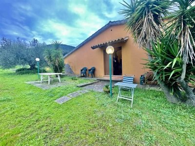 terreno agricolo in vendita a Scarlino in zona Puntone