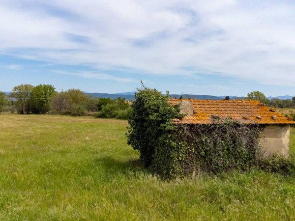 terreno agricolo in vendita a Scarlino