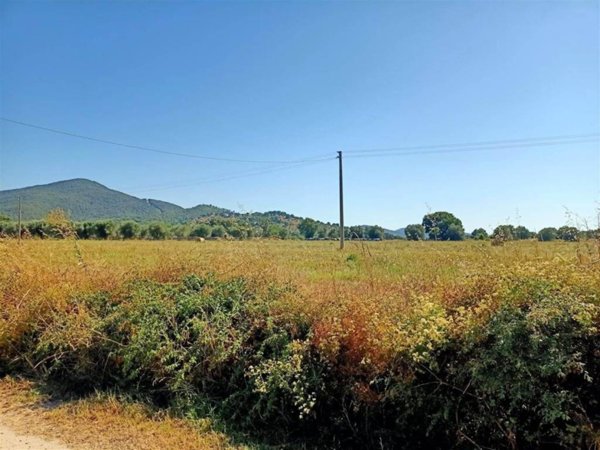 terreno agricolo in vendita a Scarlino in zona Le Case