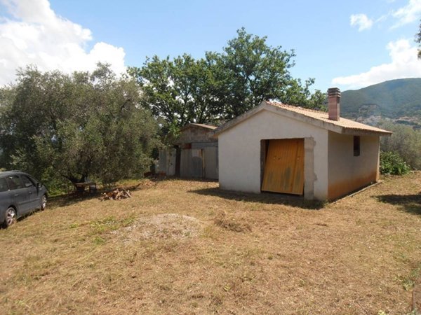 terreno agricolo in vendita a Scarlino