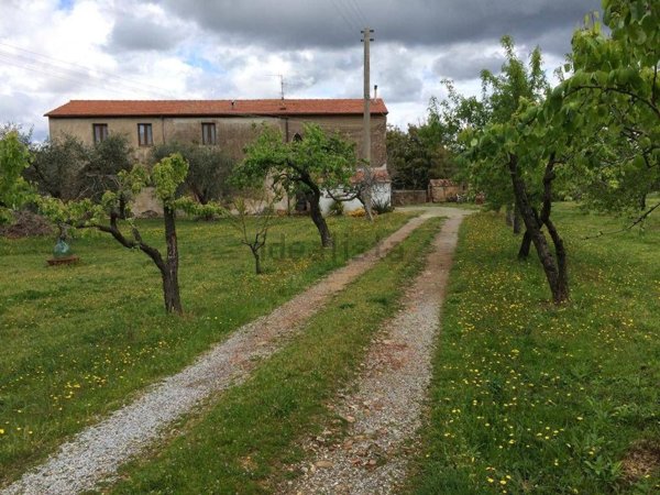 appartamento in vendita a Scarlino