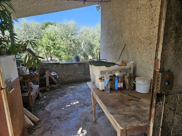 terreno agricolo in vendita a Scarlino in zona Scarlino Scalo
