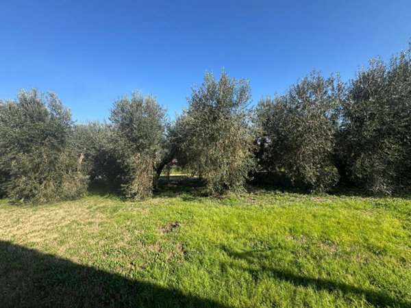 appartamento in vendita a Scarlino in zona Scarlino Scalo