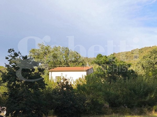 casa indipendente in vendita a Scarlino in zona Puntone