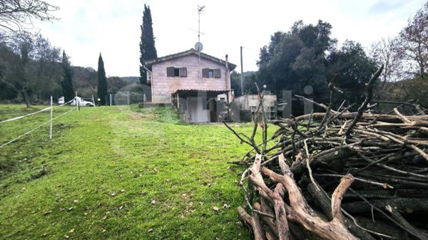 terreno agricolo in vendita a Scarlino