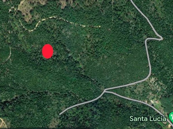 terreno agricolo in vendita a Scarlino