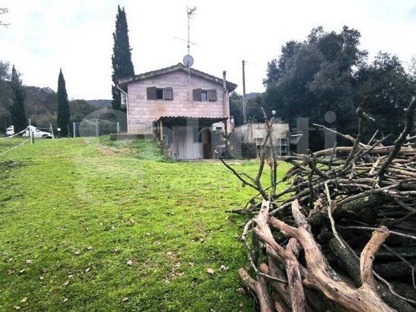 terreno agricolo in vendita a Scarlino