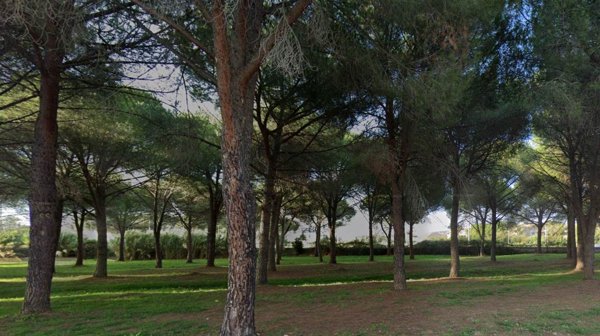 appartamento in vendita a Scarlino in zona Scarlino Scalo