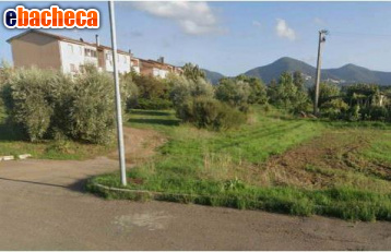 terreno agricolo in vendita a Scarlino in zona Scarlino Scalo