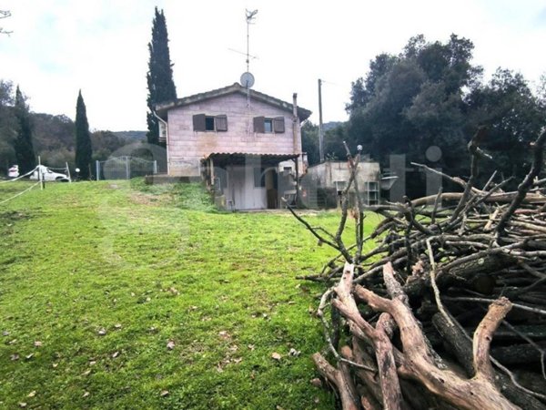 terreno agricolo in vendita a Scarlino