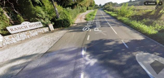 pentavano in vendita a Scarlino