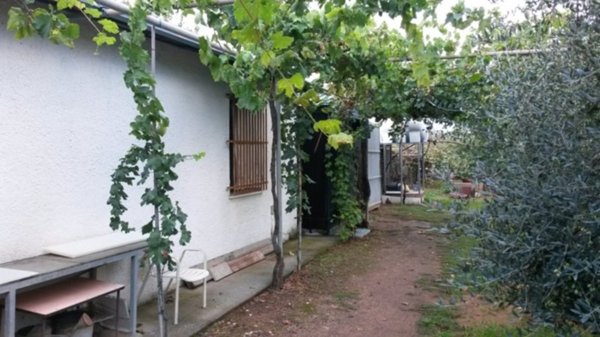 terreno agricolo in vendita a Scarlino
