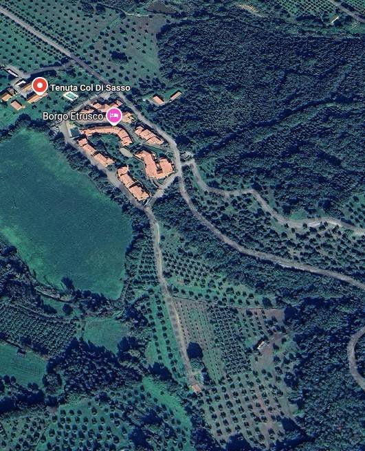 appartamento in vendita a Scarlino