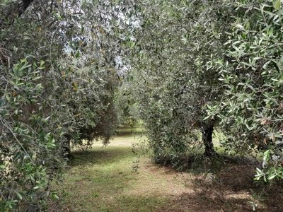 appartamento in vendita a Scarlino