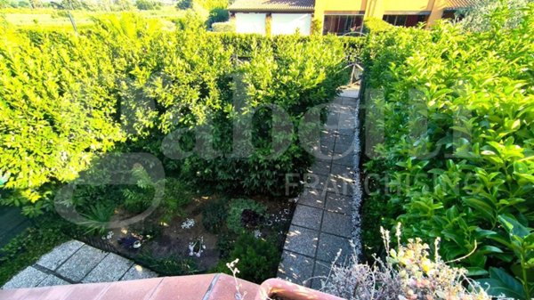 appartamento in vendita a Scarlino