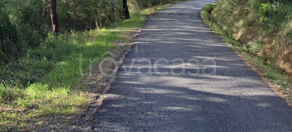 appartamento in vendita a Scarlino