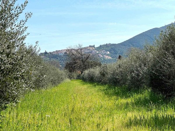 appartamento in vendita a Scarlino
