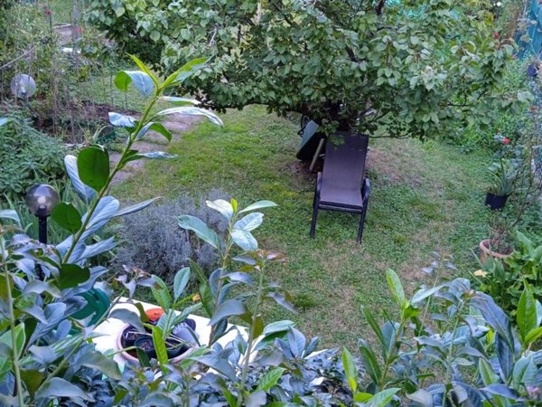 casa indipendente in vendita a Scarlino in zona Puntone