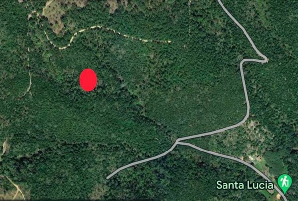 terreno agricolo in vendita a Scarlino