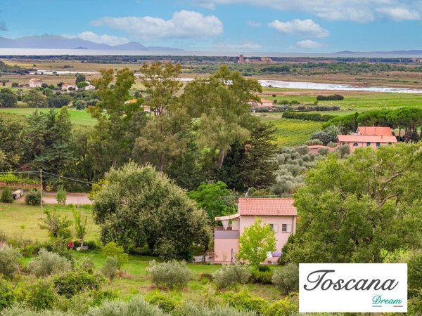 esavano in vendita a Scarlino in zona Puntone