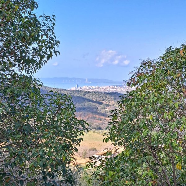 appartamento in vendita a Scarlino in zona Puntone