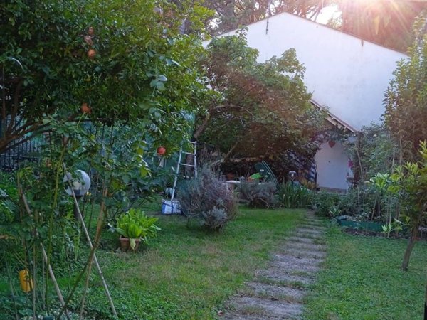 casa indipendente in vendita a Scarlino in zona Puntone