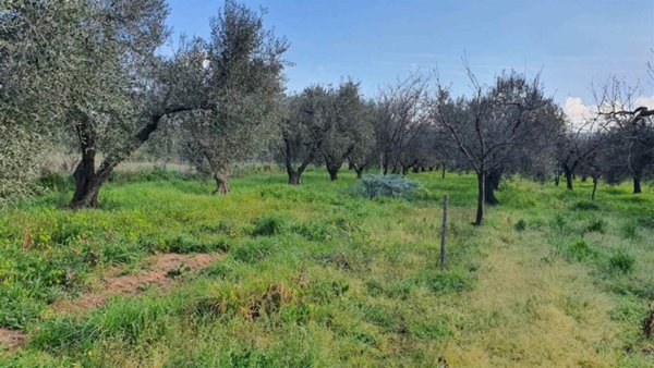 appartamento in vendita a Scarlino in zona Scarlino Scalo