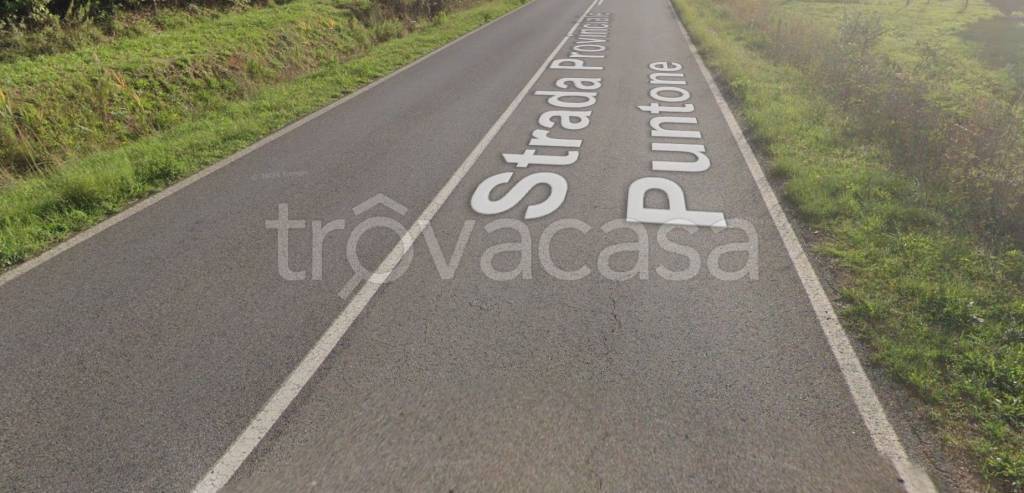 appartamento in vendita a Scarlino