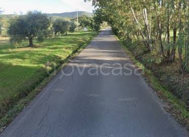 appartamento in vendita a Scarlino