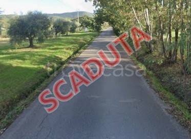 appartamento in vendita a Scarlino