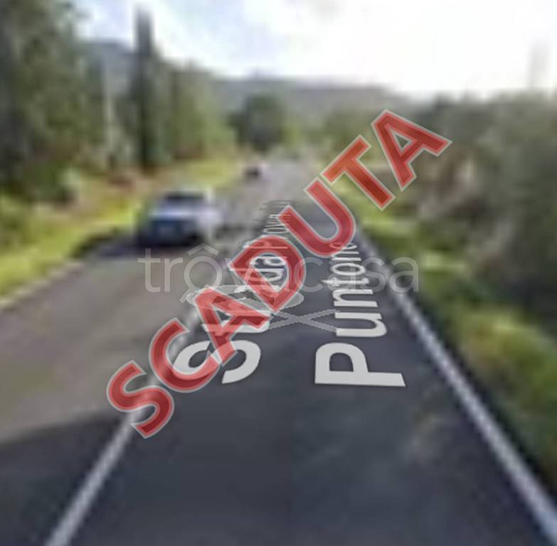 appartamento in vendita a Scarlino