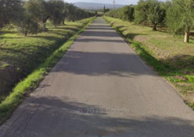 negozio in vendita a Scarlino