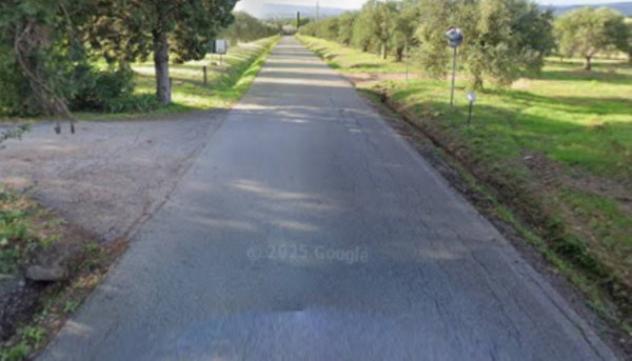 pentavano in vendita a Scarlino