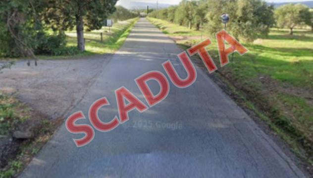 pentavano in vendita a Scarlino