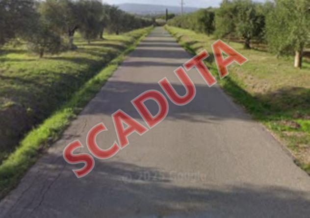 negozio in vendita a Scarlino