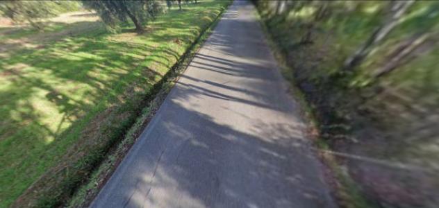 terreno edificabile in vendita a Scarlino