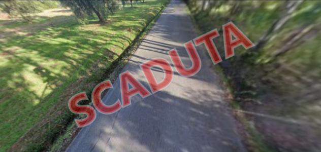 terreno edificabile in vendita a Scarlino