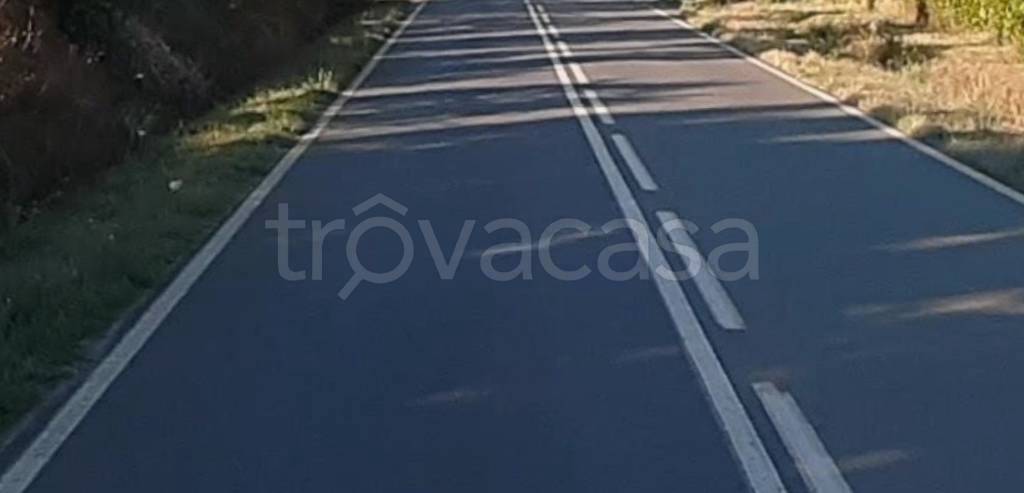 terreno edificabile in vendita a Scarlino