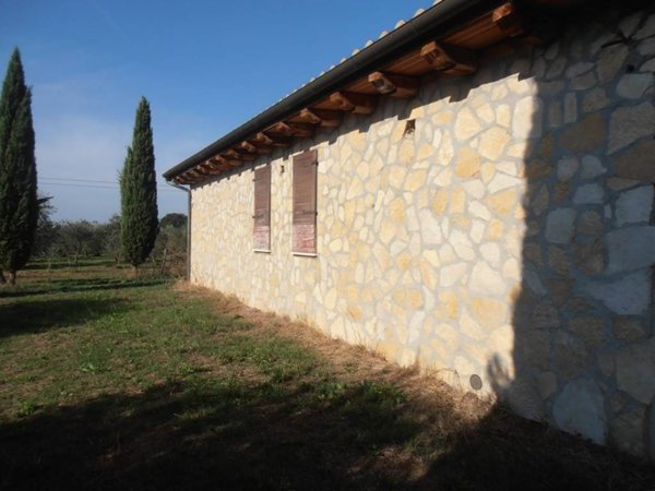 terreno agricolo in vendita a Scarlino